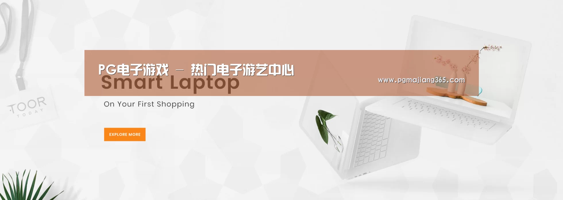 某某网络科技有限公司