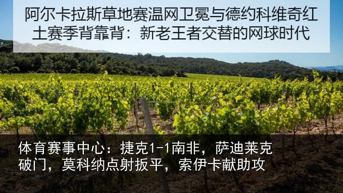 体育赛事中心:捷克1-1南非,萨迪莱克破门,莫科纳点射扳平,索伊卡献助攻