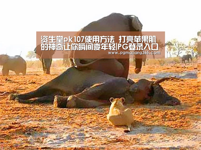 PG麻将官网