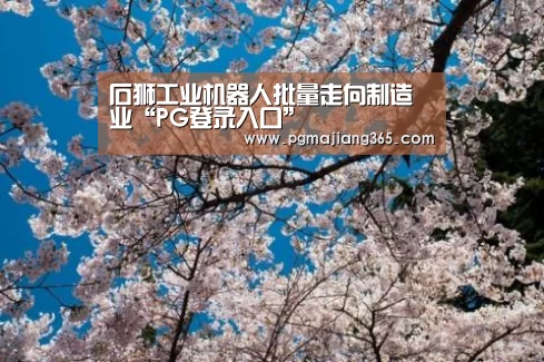 PG登录入口
