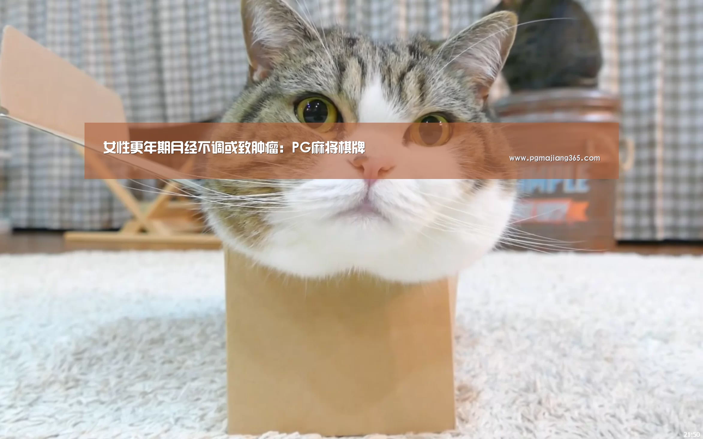 女性更年期月经不调或致肿瘤:PG麻将棋牌(图2) PG麻将官网